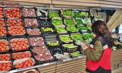 Hisarcık’ta TÜFİS gıda denetimleri yapıldı