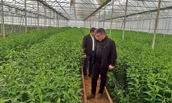 Kütahya Emet’te üreticilere seracılık gezisi düzenlendi