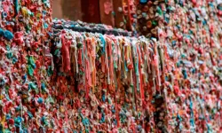 Seattle’ın sıra dışı turistik noktası: Sakız Duvarı