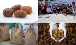 İki Türk ürünü daha AB’den coğrafi işaret aldı