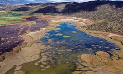 Aydın’daki Azap Gölü neredeyse tamamen kurudu