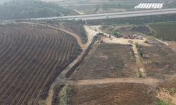 Bursa'da yıllar önce yanan ormanlık alanlar yeniden yeşeriyor