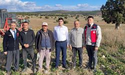 Dumlupınar kaymakamından şeker pancarı hasadını incelemesi