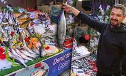 Kasım’da hangi balık yenir, Kütahya’da uzmanı açıkladı