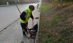 Kütahya 30 Ağustos Mahallesi'nde mıntıka temizliği