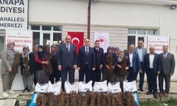 Kütahya Aslanapa’da geleceğe nefes için fidan dağıtıldı