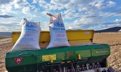 Kütahya Çavdarhisar’da buğday ve tritikale ekimi gerçekleşti