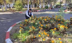 Kütahya Gediz’de yeşil alanlarda temizlik ve budama sürüyor