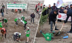 Kütahya’da binlerce fidan toprakla buluştu
