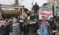 Kütahya’da binlerce fidan vatandaşa dağıtıldı