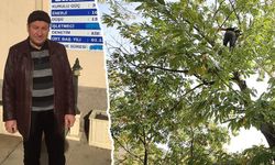 Kütahya'da kestane ağacından düşen kişi öldü