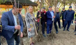 Aydın Nazilli’de çiftçilere 4 bin kestane fidanı desteği verildi