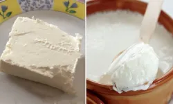 Süzme peynir mi yoğurt mu? En sağlıklısı sonunda açıklandı