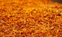 Çayla, yoğurtla, balla yeniyor: Bahçesine eken para kazanıyor, gramla satılıyor