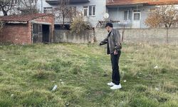 Eskişehir'de boş arazide 8 ölü kedi bulundu