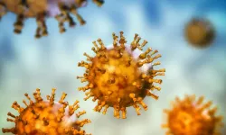 H3N2 virüsü hızla yayılıyor: Türkiye için uyarı yapıldı