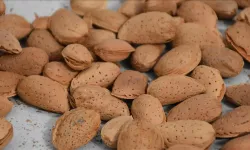 Kalp, cilt ve beyin dostu süper besin: Badem