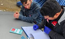 Kütahya Emet’te kedi ve köpeklere mikroçip ve aşı uygulandı