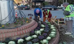 Kütahya Gediz’de mevsimlik çiçek dikimi yapıldı