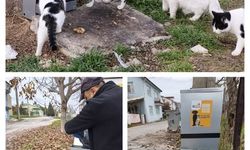 Kütahya Gediz’de sahipsiz canlara destek: Beslenme noktaları yerleştirildi