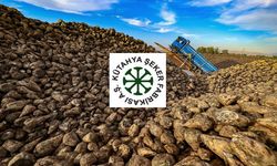 Kütahya Şeker Kimin, Devletin mi? KTSKR Hisse Bölündü mü, Kaç Lotu Var?