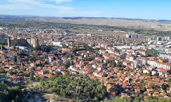 Kütahya'nın o ilçesinde bedava dağıldı! Bakanlık devreye girdi