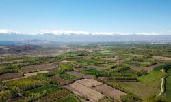 Kütahya'da toprak sahibi olmak isteyenlere müjdeli haber!