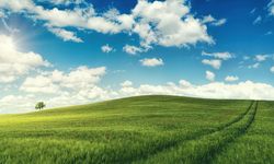 Kütahya'nın Gözde Yerinde Araba Fiyatına Arsa Satılacak: Devlet Kurumu Son Tarihi Açıkladı