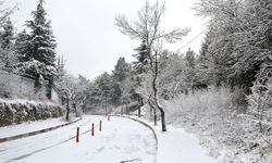 Kütahya'ya kar ne zaman yağacak? Meteoroloji tarih verdi!