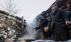 Orman köylüsüne devlet desteği! İşte yeni gelir kapısı