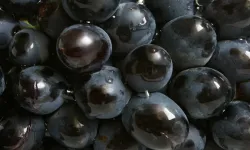 Bu özel meyve yılbaşı sofralarının gözdesi oldu