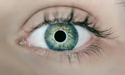 Tıp tarihinde devrim ilk 3D yazdırılmış kornea nakli