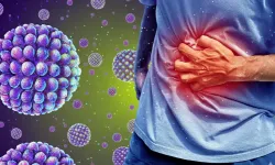 Vakalar artıyor “Kaburga Kıran” hastalığı lüks yolcu gemisinde yayıldı