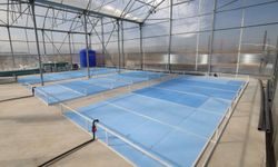 Afyonkarahisar'da jeotermal destekli balık üretimi başlıyor