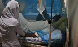 Asya'da "Nipah" alarmı: Türkiye’de Nipah virüsü var mı?