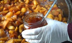 Balıkesir’de kurulan kooperatif kadınlara gelir kapısı oldu