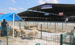 Kütahya Canlı Hayvan Pazarı’nda yeni gelişme