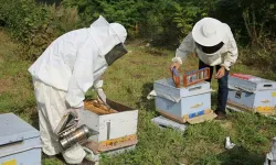 Kütahya’da arıcılara hibeli yem desteği projesi