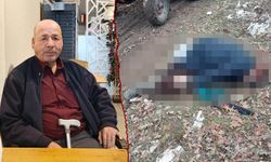 Kütahya'da odun toplamak için gittiği ormanda ölü bulundu