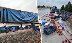 Kütahya'da tır savrulunca elmalar yola döküldü
