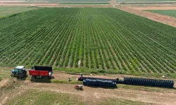 Kütahya’daki çiftçi ve tarım alanı sayısı açıklandı