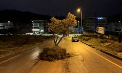 Aydın’da sağanak ve dolu hayatı olumsuz etkiledi