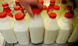 Ayran ve kefir pazarı yüzde 10 büyüme kaydetti