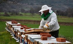 “Köyde bir kovanın olsun” projesiyle 50 kovan sahiplendirildi