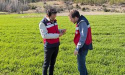 Kütahya Çavdarhisar’da fenolojik gözlem çalışmaları yapıldı