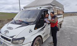 Kütahya Çavdarhisar’da hayvan sevklerine yönelik kontrol