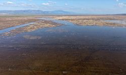 Marmara Gölü 5 yıl sonra yeniden su tuttu