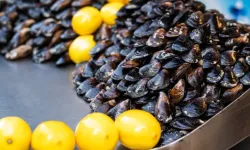 Midye severlere kötü haber! iki virüs tespit edildi