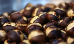 Ocakta hallerin en pahalı ürünü belli oldu