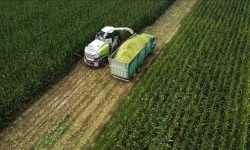 Tarım ÜFE Ocak'ta yüzde 8,46 yükseldi